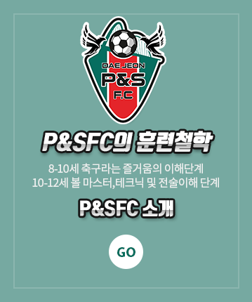 P&SFC 소개 GO